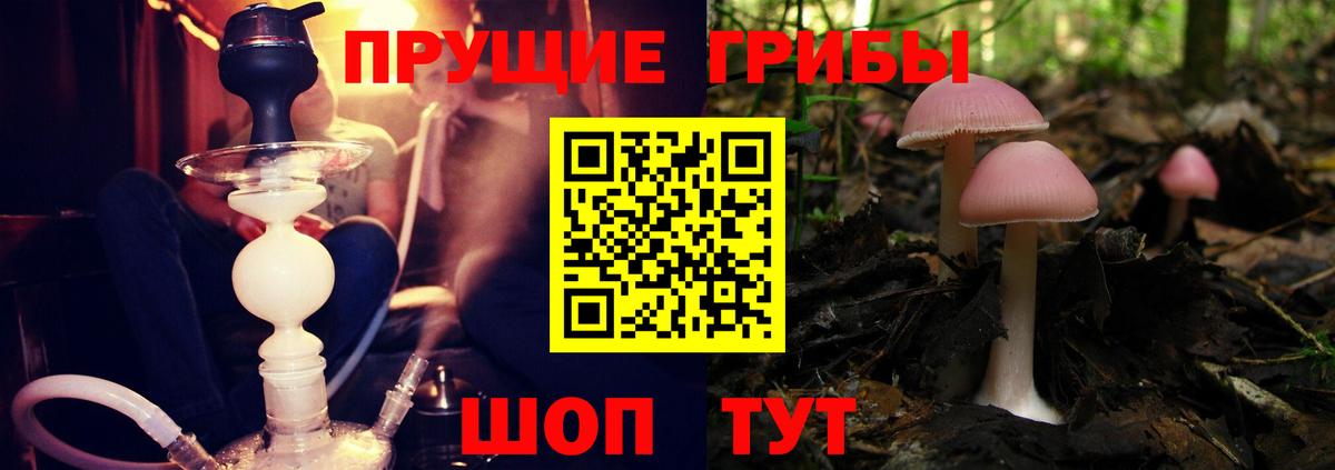 Галлюциногенные грибы мухоморы  Вход с VPN  Псилоцибиновые грибы MAGIC MUSHROOMS  Светлоград 